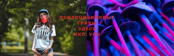 прущая мука Новодвинск