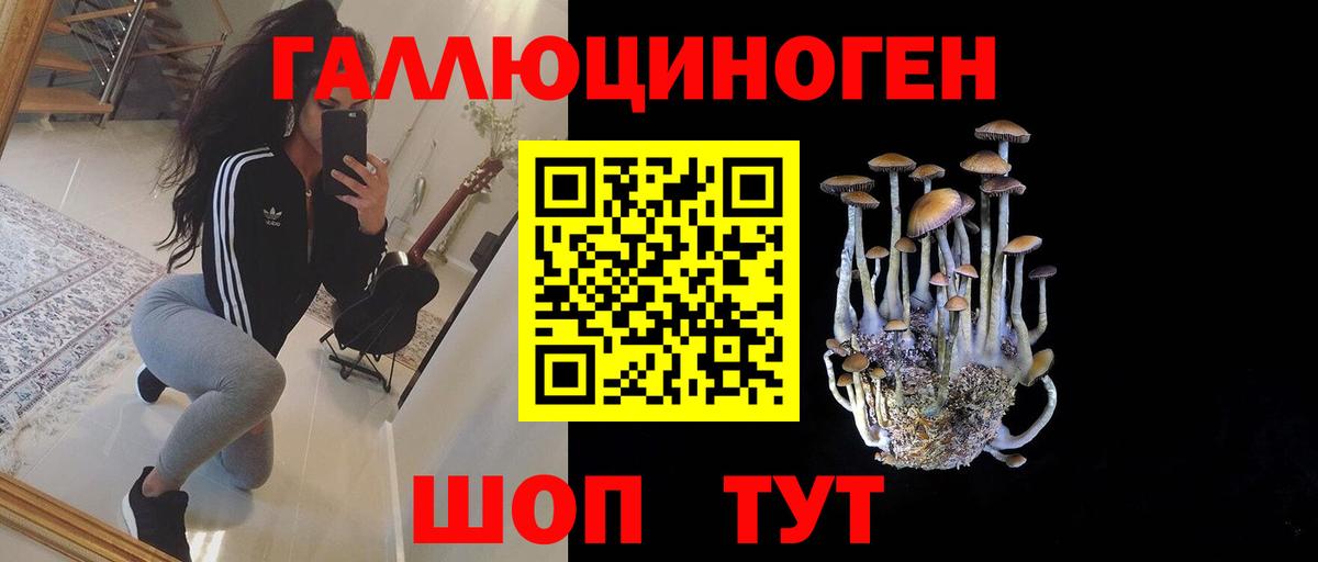 Ухта  Псилоцибиновые грибы Psilocybe  Псилоцибиновые грибы мицелий  Вход с VPN 