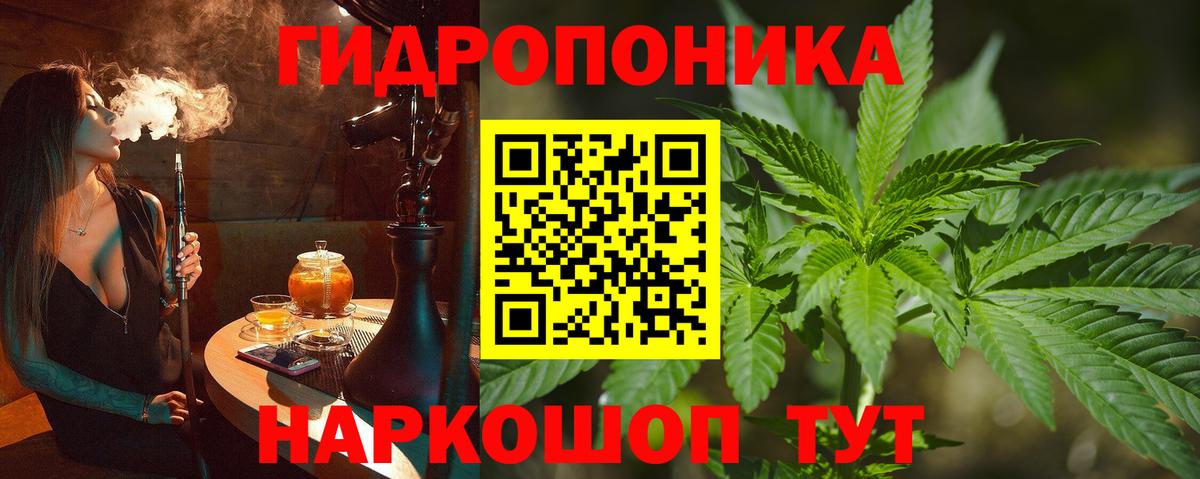 Марихуана сатива  Марихуана Amnesia  Вход с VPN  Конопля Ganja  Конопля Amnesia  Ухта 